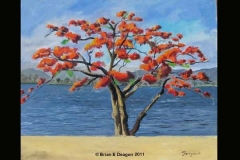 POINCIANA