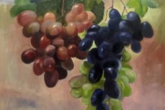 grapes-on-a-wire-copy